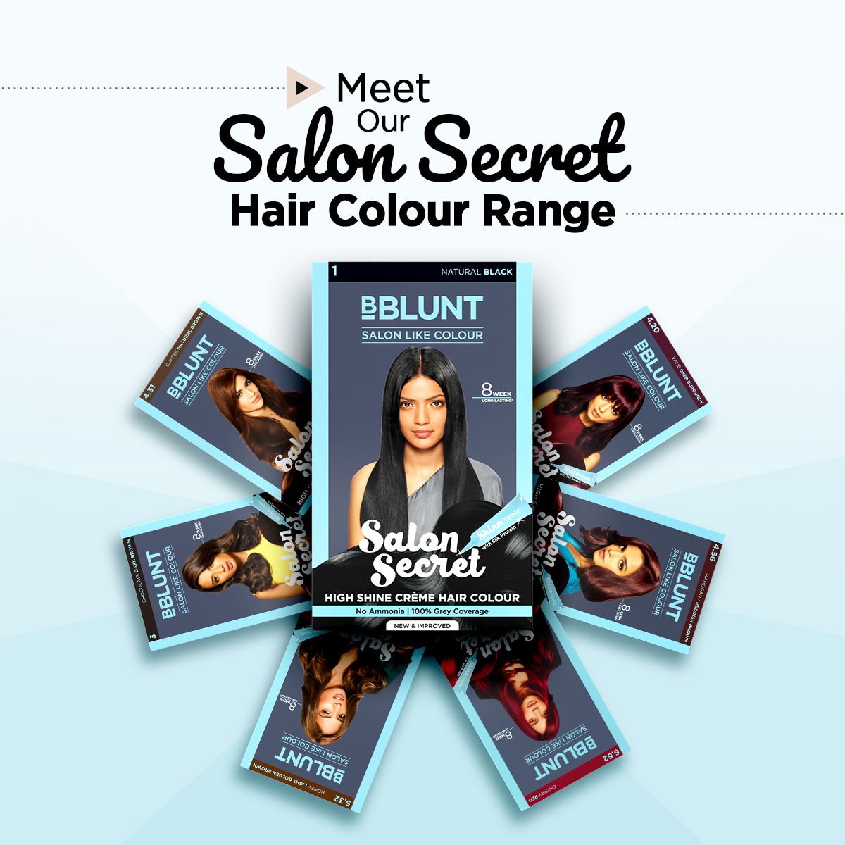 Salon Secret High Shine Crème Hair Colour - Natural Black- 100 g