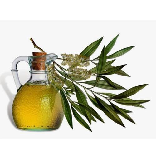 Tea Tree: Infused with antifungal properties, it reduces itchiness and flakes.