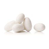 Silk Protein: It adds to the elasticity of hair. It also prevents breakage and helps to aid moisture.