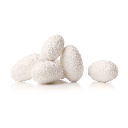 Silk Protein : It enhances hair elasticity. It also prevents breakage and helps retain moisture.