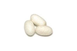 Silk Protein: It boosts your hair’s elasticity, prevents breakage and adds moisture.